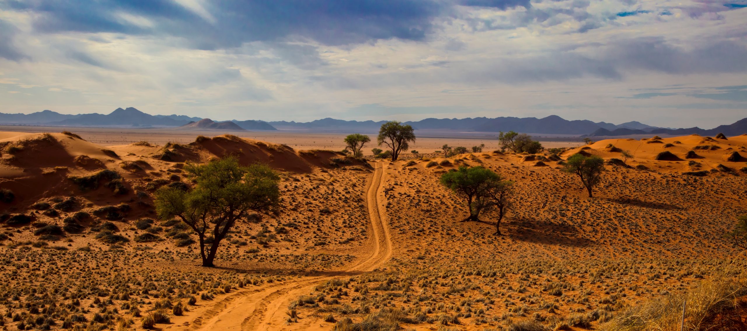 ROAD-TRIP 360° NAMIBIE